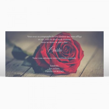 Carte remerciement décès - Rose rouge posée - réf.02DEC1005 - 1001Cartes