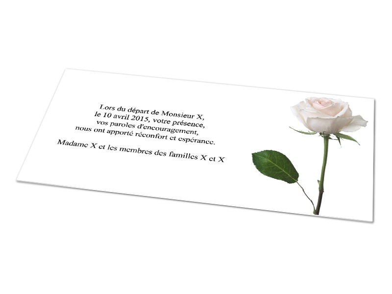 Cartes décès fleurs - Une rose blanche - réf.02DEC1012 - 1001Cartes