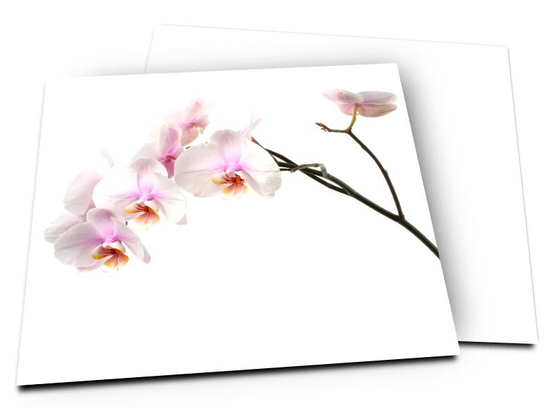 Carte de Remerciement Décès Orchidée Marbre
