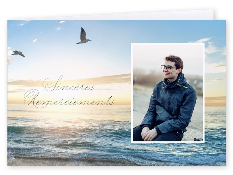 BIROYAL Lot De 24 Cartes De Remerciement Vierges Professionnelles En