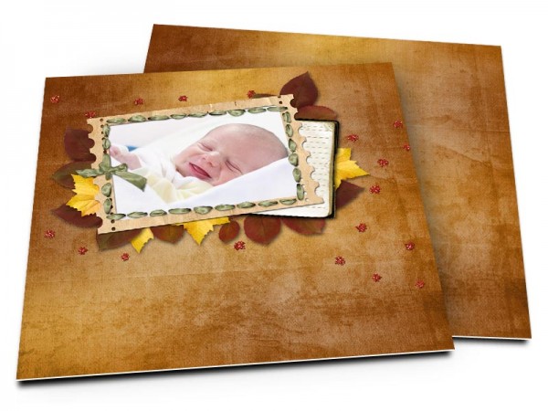 Faire-part naissance - Feuilles d'automne