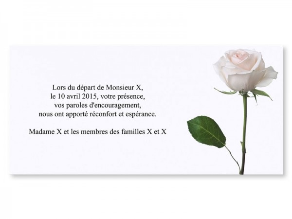 Carte remerciement décès - Une rose blanche