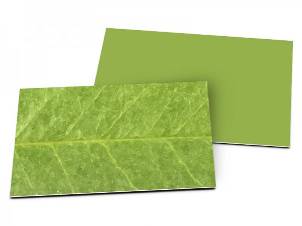 Carton d'invitation mariage - Feuille d'arbre