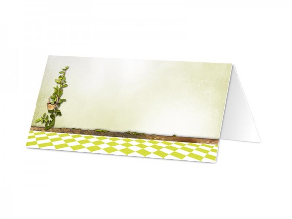 Marque-place mariage - Ruban rouge et damier vert