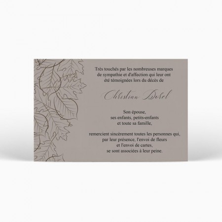  Carte remerciement décès - Dessin feuilles