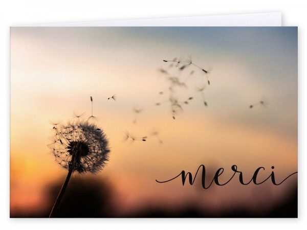  Carte remerciement décès - Coucher de soleil pissenlit