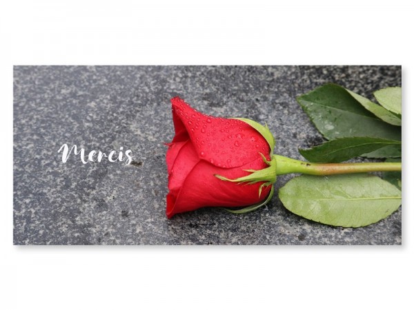  Carte remerciement décès - Rose rouge sur pierre