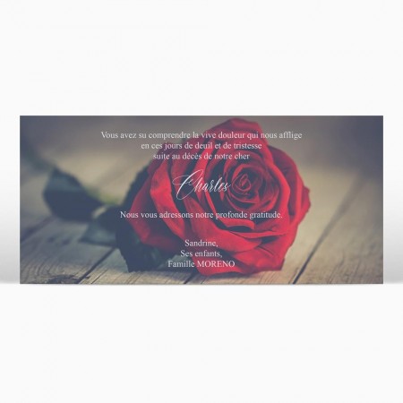  Carte remerciement décès - Rose rouge posée au sol