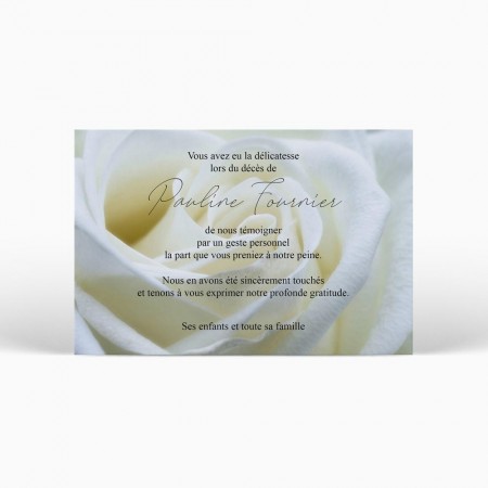  Carte remerciement décès - Bouton de rose blanche