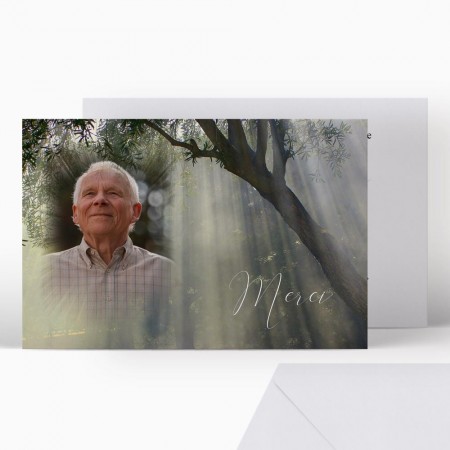  Carte remerciement décès - Arbre avec photo portrait effet lumière 