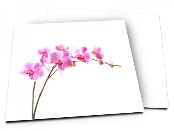 Faire-part mariage - Orchidée sauvage