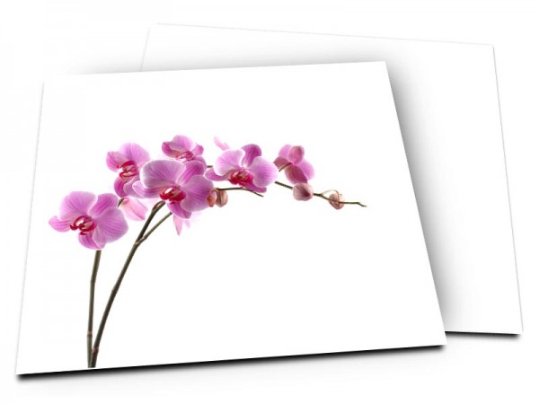 Remerciements mariage - Grâce sensuelle d'une orchidée