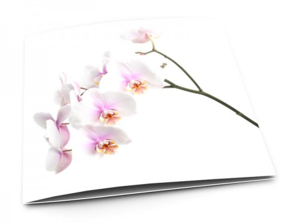 Remerciements mariage - Orchidée splendeur naturelle