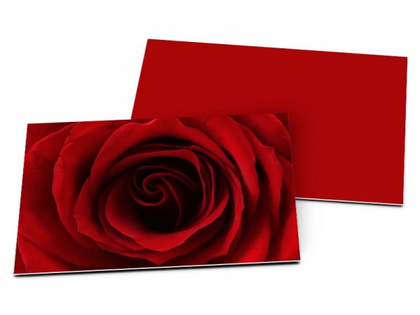 Carton d'invitation mariage - La rose éternelle