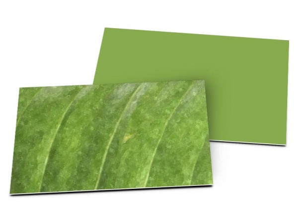Carton d'invitation mariage - Chlorophylle