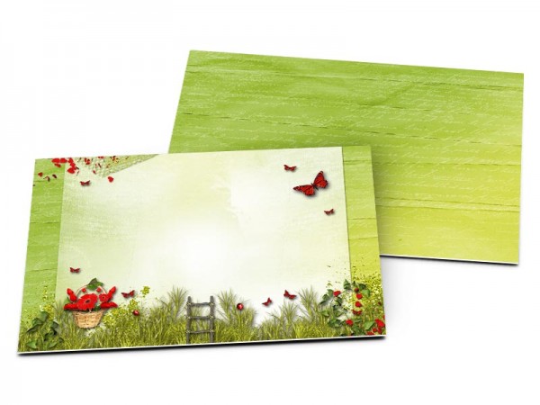 Carton d'invitation mariage - Champêtre – la cage aux papillons
